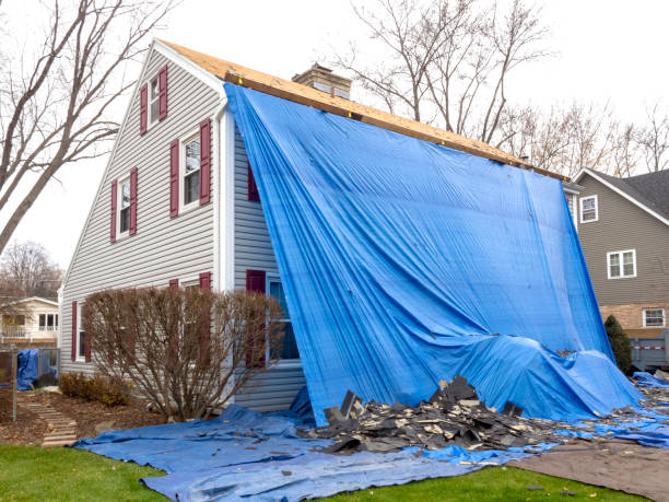 Best Property Management Cleanouts  in Galva, IL