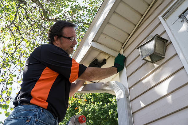 Shed Removal in Galva, IL